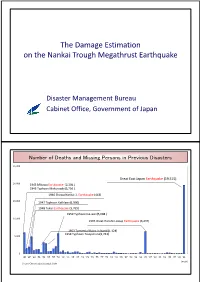 The Damage Estimation on the Nankai Trough Megathrust