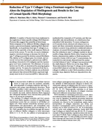 Reduction of Type V Collagen Using a Dominant-Negative
