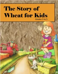 The Story of Wheat for Kids Grades 3 to 5