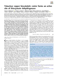 Trinuclear Copper Biocatalytic Center Forms an Active Site of Thiocyanate Dehydrogenase