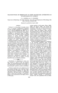 Transduction of Resistance to Some Macrolide Antibiotics in Staphylococcus a Ureus1 P
