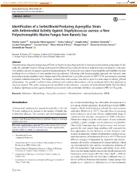 Identification of a Sorbicillinoid-Producing Aspergillus