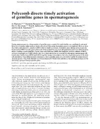 Polycomb Directs Timely Activation of Germline Genes in Spermatogenesis