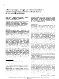 A Ferrous-Triapine Complex Mediates Formation of Reactive Oxygen Species That Inactivate Human Ribonucleotide Reductase