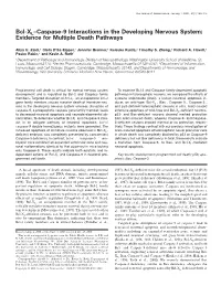 Bcl-XL–Caspase-9 Interactions in the Developing Nervous System: Evidence for Multiple Death Pathways