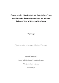 Comprehensive Identification and Annotation of Nonprotein-Coding