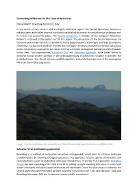Connecting Wilderness in the Central Apennines