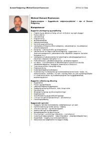 CV-Michael Dumont Rasmussen Skønsmand 4