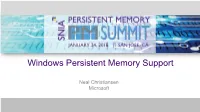 Windows Persistent Memory Support
