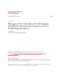 Phylogeny of the Oniticellini and Onthophagini Dung Beetles (Scarabaeidae, Scarabaeinae) from Morphological Evidence T