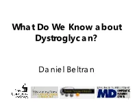 What Do We Know About Dystroglycan?