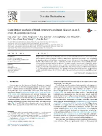 Quantitative Analysis of Floral Symmetry and Tube Dilation in an F2