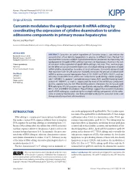 Curcumin Modulates the Apolipoprotein B Mrna Editing By