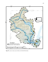 Skokomish River Basin