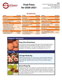 Fruit Trees for 2020-2021