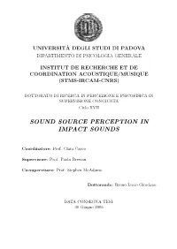 Sound Source Perception in Impact Sounds