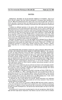 Southwestern Pine Tip Moth: Notes on Larval Descent Behavior
