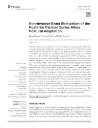 Non-Invasive Brain Stimulation of the Posterior Parietal Cortex Alters Postural Adaptation