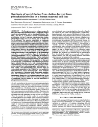 Synthesis of Acetylcholine from Choline Derived From