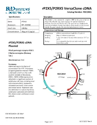Prdc Cdna Insert Product Line