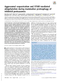 Aggresomal Sequestration and STUB1-Mediated Ubiquitylation During Mammalian Proteaphagy of Inhibited Proteasomes