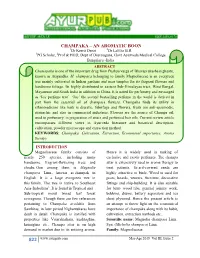 Champaka – an Aromatic Boon