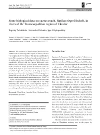 Some Biological Data on Cactus Roach, Rutilus Virgo (Heckel), in Rivers of the Transcarpathian Region of Ukraine
