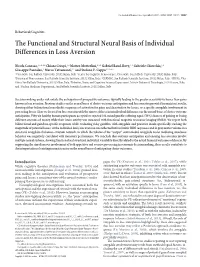 The Functional and Structural Neural Basis of Individual Differences in Loss Aversion
