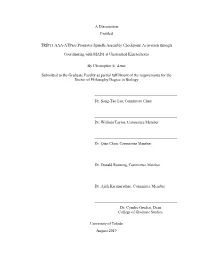 A Dissertation Entitled TRIP13 AAA-Atpase Promotes Spindle