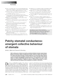 Patchy Stomatal Conductance: Emergent Collective Behaviour of Stomata Keith A