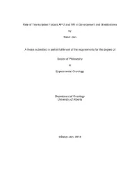 Role of Transcription Factors AP-2 and NFI in Development and Glioblastoma by Saket Jain a Thesis Submitted in Partial Fulfillm