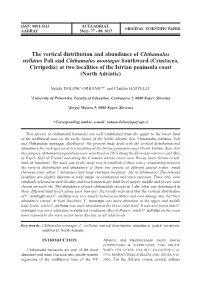 The Vertical Distribution and Abundance of Chthamalus Stellatus