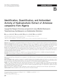 Identification, Quantification, and Antioxidant Activity Of