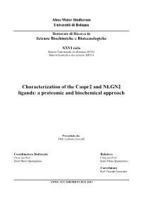 Characterization of the Caspr2 and NLGN2 Ligands: a Proteomic and Biochemical Approach
