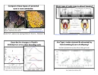 Compare These Types of Parental Care in Non-‐Amniotes