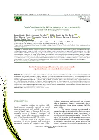 Creolin® Administered by Different Pathways in Rats Experimentally Poisoned with Bothrops Jararaca Venom