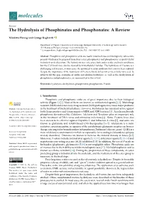 The Hydrolysis of Phosphinates and Phosphonates: a Review