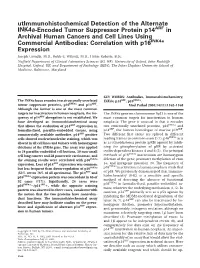 Utimmunohistochemical Detection of the Alternate Ink4a-Encoded