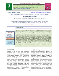 Molecular Characterization of Tomato Leaf Curl Virus (Tolcv) in South Gujarat, India