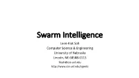 Swarm Intelligence