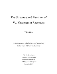 The Structure and Function of V1b Vasopressin Receptor
