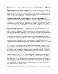 Questions and Answers About Thousand Cankers Disease of Walnut