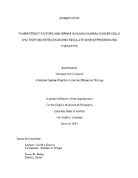 Dissertation