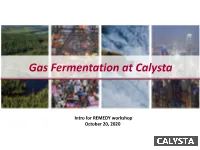 Gas Fermentation at Calysta