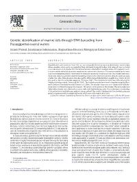 Genetic Identification of Marine Eels Through DNA Barcoding From