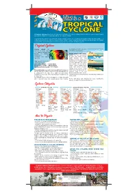 Pull up Banner Tropical Cycclone.Ai