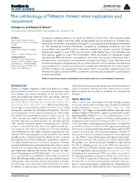 The Cell Biology of Tobacco Mosaic Virus Replication and Movement