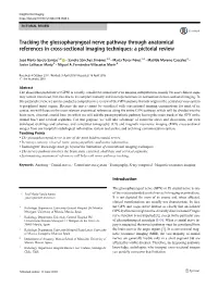 Tracking the Glossopharyngeal Nerve Pathway Through Anatomical References in Cross-Sectional Imaging Techniques: a Pictorial Review