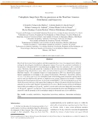 Endophytic Fungi from Myrcia Guianensis at the Brazilian Amazon: Distribution and Bioactivity