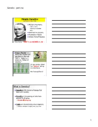 Genetics Slides